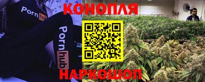spice Будённовск