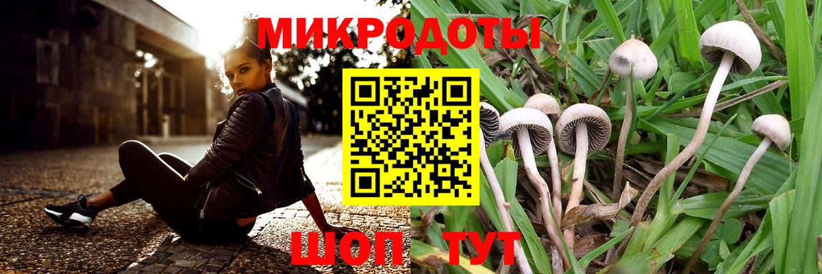 Галлюциногенные грибы MAGIC MUSHROOMS Сертолово